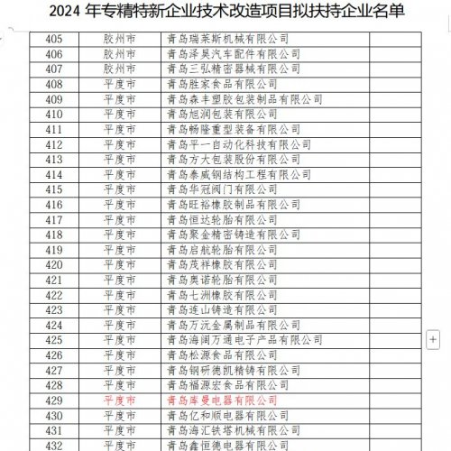 专精特新企业技术改造项目成功申请